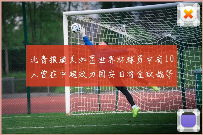 北青报道美加墨世界杯球员中有10人曾在中超效力国安旧将金玟哉等三人入选