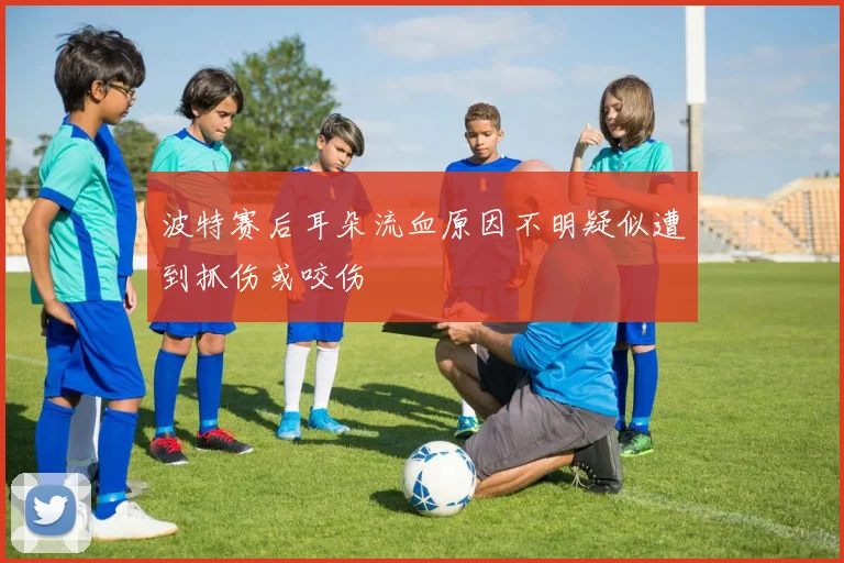 波特赛后耳朵流血原因不明疑似遭到抓伤或咬伤